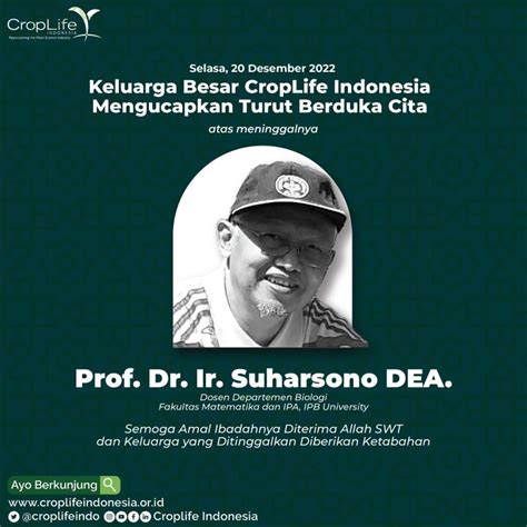 Prof. Dr. Ir. Suryono, DEA